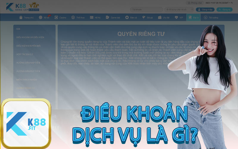 ĐIỀU KHOẢN DỊCH VỤ LÀ GÌ?