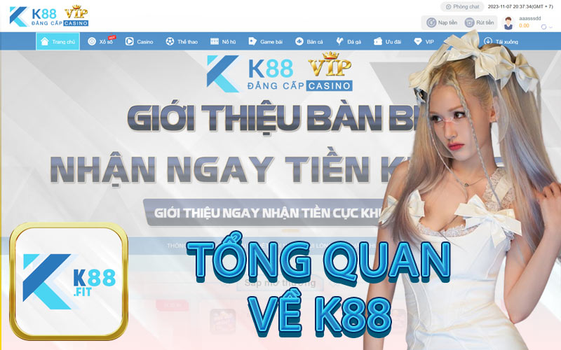 TỔNG QUAN VỀ K88